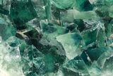 Green, Fluorescent, Cubic Fluorite Crystals - Madagascar #210426-1